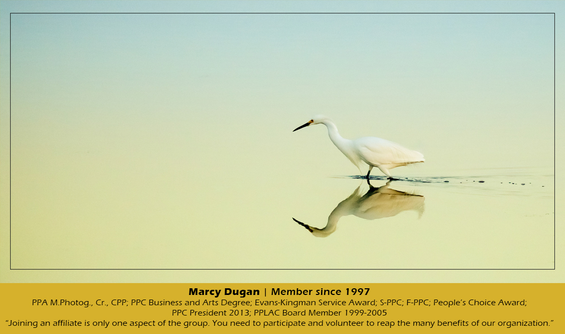 Slider – Marcy Dugan